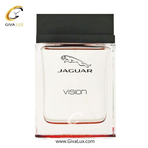   Jaguar Vision Sport-1.jpg